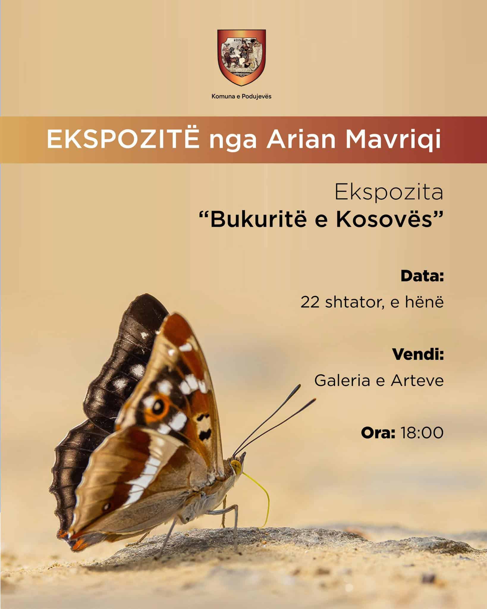 Ekspozitë nga Arian Mavriqi